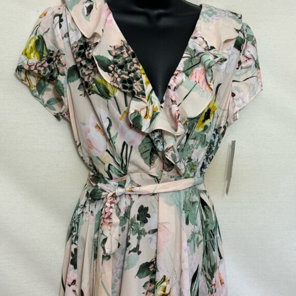 Y-13 DN Designs NWT Pink Floral Ruffled Shirt Sleeve High Low Dress Size 10 - Picture 3 of 15